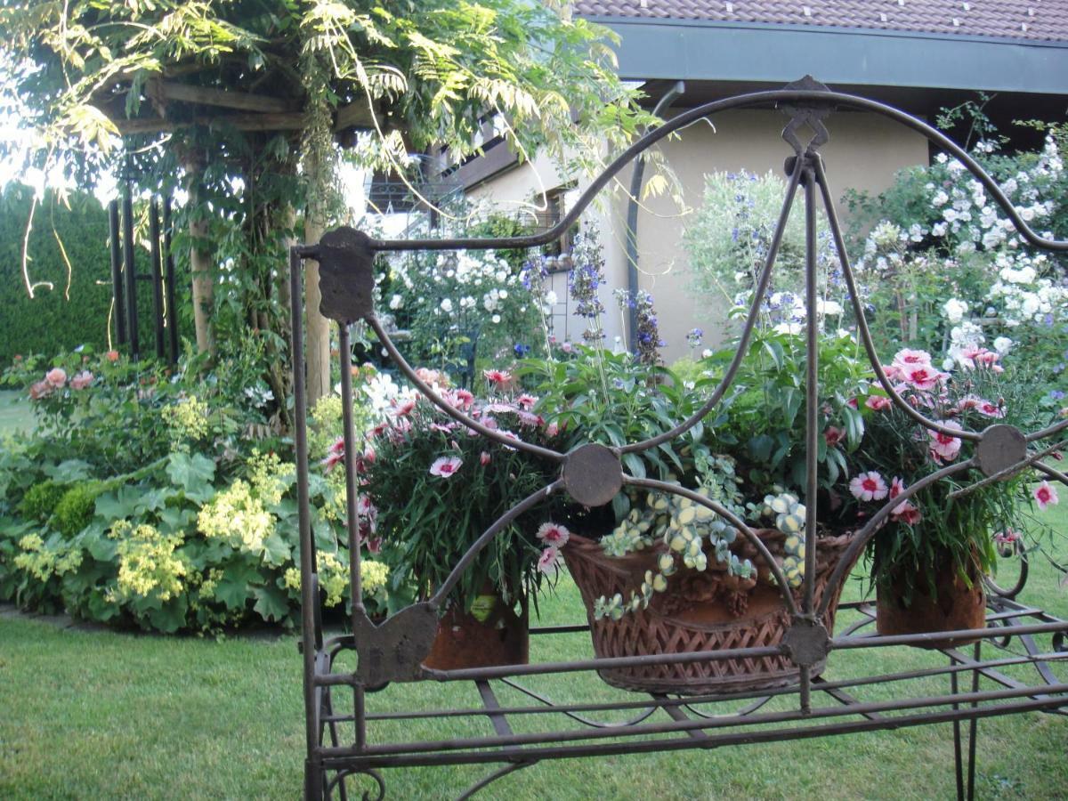Charming And Cosy Apartment Near Lucerne Romerswil Экстерьер фото