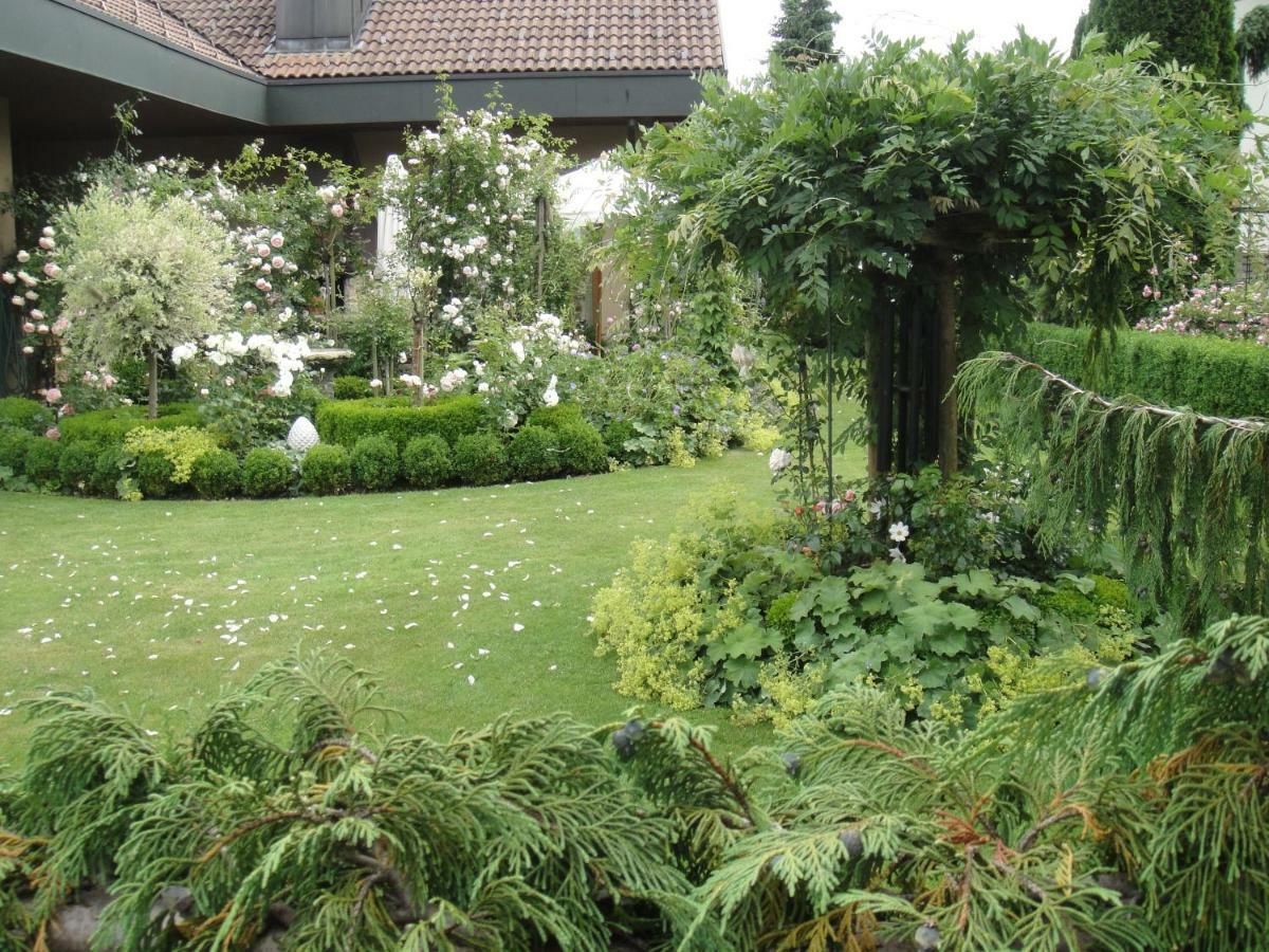 Charming And Cosy Apartment Near Lucerne Romerswil Экстерьер фото