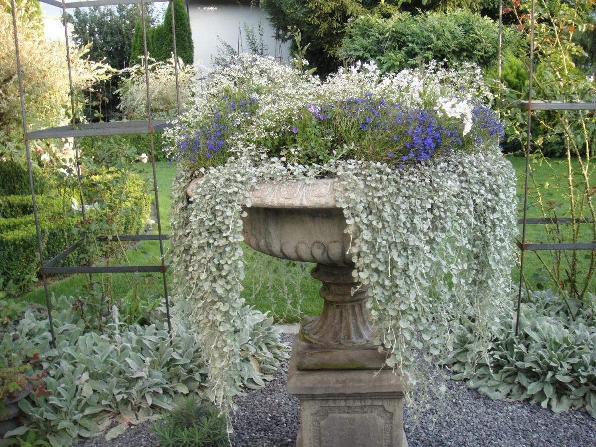 Charming And Cosy Apartment Near Lucerne Romerswil Экстерьер фото